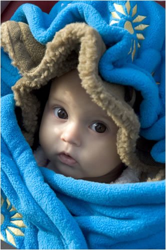 Childrens Toyshop  Toys : Lodger Bunker Pram Cosy And Foot Muff