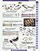 RICK'S MOTORSPORT ELECTRIC FIELD COIL & BRUSH PLATE 70-500