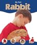 Rabbit (My First Pet)