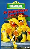 Sesamstrasse 5 - Wetterfroesche