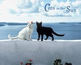 The Mediterranean Cat