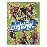 Buy WWE SmackDown Jigsaw Puzzle 100pc by Master Pieces