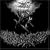 Sardonic Wrath