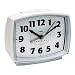 Kitchen & Housewares : Westclox Bold II Snooze Dialite