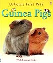 Guinea Pigs (First Pets)