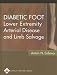 Book Diabetic Foot: Lower Extremity Arterial Disease and Limb Salvage