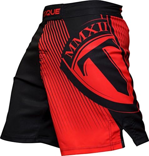 Torque Fulcrum Fight Shorts
