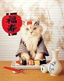 Hilarious Sushi Cat 1 Funny College Art Poster Print - 16