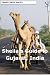 Sheila's Guide to Gujarat, India