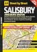 AA Street by Street Salisbury