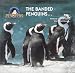 The Banded Penguins (Williams, Kim, Young Explorer Series. Penguins.)
