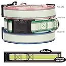 Casual Canine Glow Nylon Dog Collar, 10 to 16-Inch, Blue