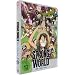 One Piece - 10. Film: Strong World