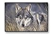 Wolf Wolves in Wild Indoor/outdoor Doormat Rug Mat