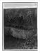 Historic Print (L): [Grand Canyon, Arizona: First mile at Bright Angel Trail, and 1300 ft. of Precipice]