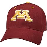 Zephyr Minnesota Golden Gophers Dh Fitted Hat 6 7/8