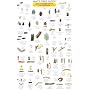 Mac's Field Guide Good Garden Bugs of California (Mac's Guides (Charts))