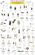 Mac's Field Guide Good Garden Bugs of California (Mac's Guides (Charts))