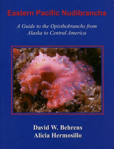 Central America
