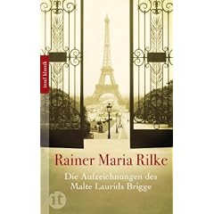 Die Aufzeichnungen des Malte Laurids Brigge (insel taschenbuch)