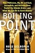 Boiling Point: How Politicians, Big Oil and Coal, Journalists and Activists Are Fueling the Climate Crisis--And What We Can Do to Avert Disaster