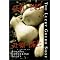 Korean adoption fiction