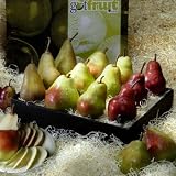 Pears to Compare