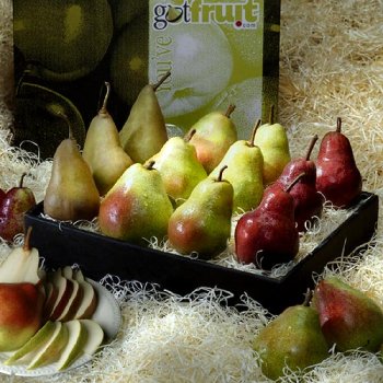 Pears to Compare by GotFruit.com