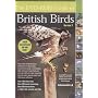 The DVD Guide to British Birds 7.0
