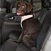 PINK - Houndstooth Car Harness LARGE - PINK
