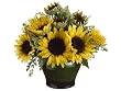 Pack of 2 Artificial Potted Silk Sunflower & Meadow Grass Arrangements 15"