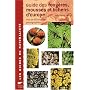 Guide des fougeres mousses & lichens d'europe