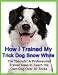 How I Trained My Trick Dog Snow White - Dog Trick Training 51346UHNscL. SL75 Dog Training Videos