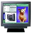 Cornerstone P1700 21.1" CRT monitor