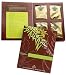Coffee Masters The Twelve Coffees of Christmas, Variety Pack, 12-Count Box