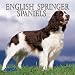English Springer Spaniels 2001 Calendar