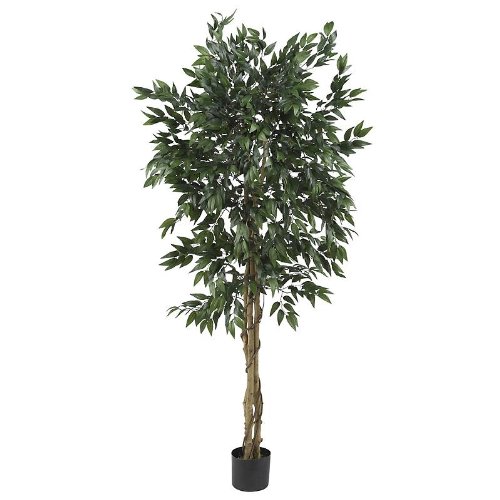 5' Smilax Silk Tree