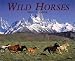 Book Wild Horses