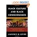 Black Culture and Black Consciousness: Afro-American Folk Thought from Slavery to Freedom
