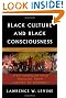 Black Culture and Black Consciousness: Afro-American Folk Thought from Slavery to Freedom
