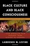 Black Culture and Black Consciousness: Afro-American Folk Thought from Slavery to Freedom