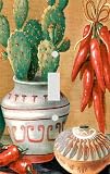Cactus and Chilli Peppers Decorative Switchplate Cover