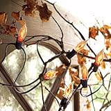 Martha Stewart Flicker Flame Halloween Lights - Grandin Road image