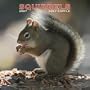 Squirrels 2007 Calendar (Multilingual Edition)