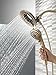 Delta Faucet 5-Spray In2ition 2-in-1 Dual Hand Held Shower Head with Hose, Champagne Bronze 58045-CZ