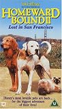 Homeward Bound 2 - Lost In San Francisco [UK IMPORT] - Robert Hays