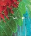 Rainforest
