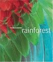 Rainforest