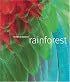 Rainforest