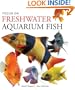 Focus on Freshwater Aquarium Fish